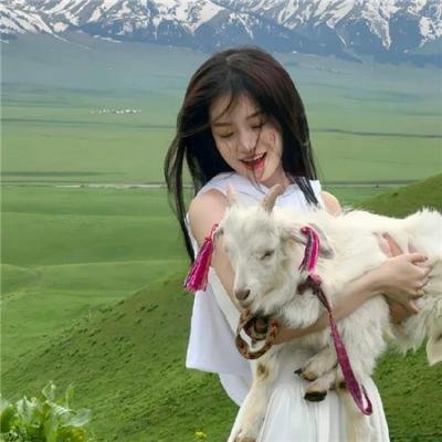 警犬巴打粤语